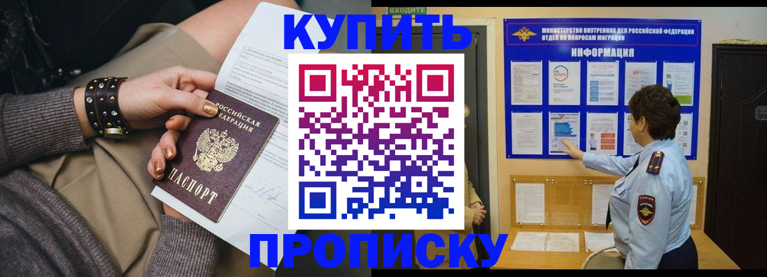 прописка в Стародубе